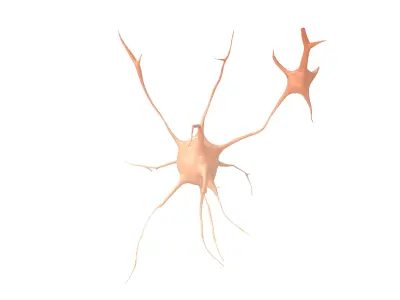 Neurons v1 003 Low-poly 3D model
