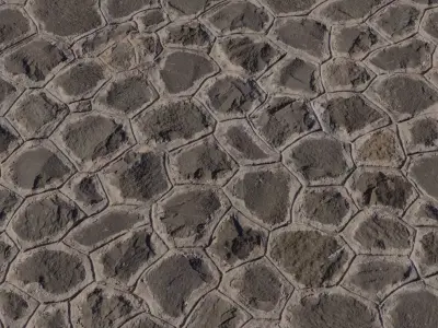 Organic Polygon Stone Floor Texture