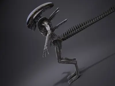 Alien Xenomorph High Detail 3D model