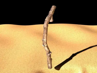 Drawing With Tree Branch In The Sand 3D model