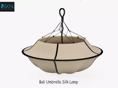 Bali Umbrella Silk Lamp 3D model