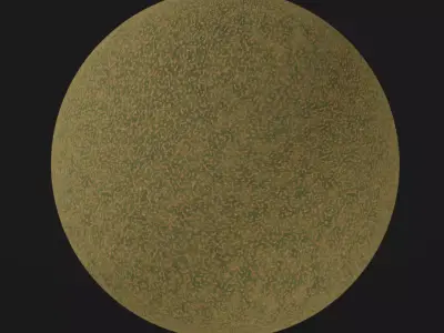 Selected Kiwi materials for tutorial Free 3D model