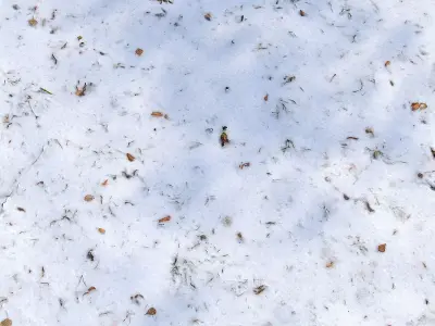 Snow with autumn leaves 3D model