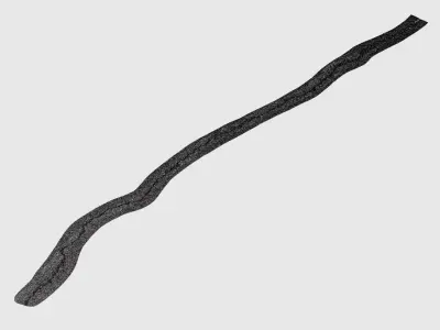 Long Crack In Asphalt 3D model