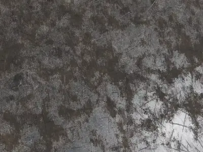 Dark Scalloped Arabesque Grille PBR SEAMLESS Texture