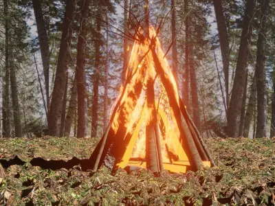 Camp fire 3D model purchase