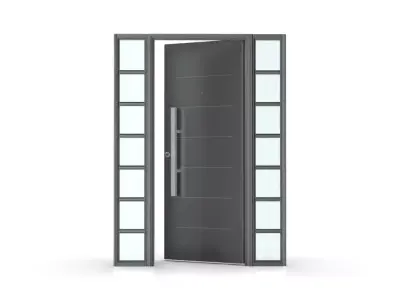 Modern Entrance Door with Glass Side Panels Architectural 3D model