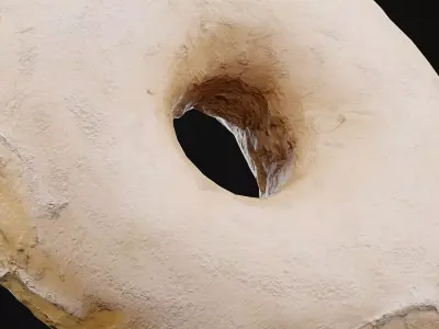 White Chocolate Donut Low-poly 3D model