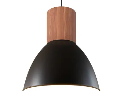 Elyona Industrial Pendant Light 3D model