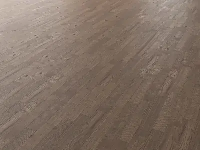 Parquet Oak Missisippi Wild Wood set 7 3D model