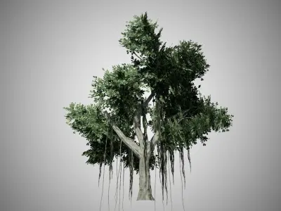 Chinese Banyan Tree Low-poly 3D model