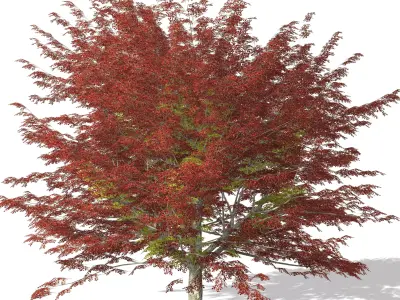 Tree - 00002 3D model