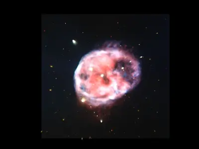 Skull Nebula 3D model