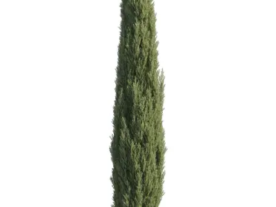 City street and park asset 3D model