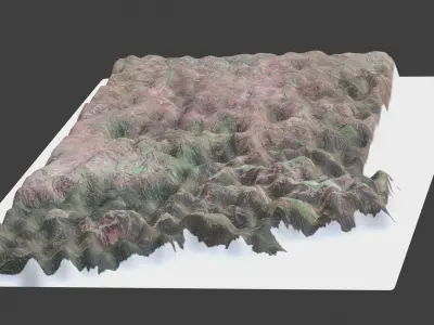 Montana State Low-poly 3D model