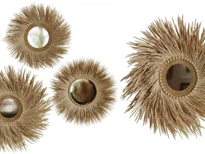 Straw Mirrors 2 3D model