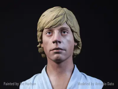 Mark Hamill as Luke Skywalker Bust Printable 3D Model 3D print model