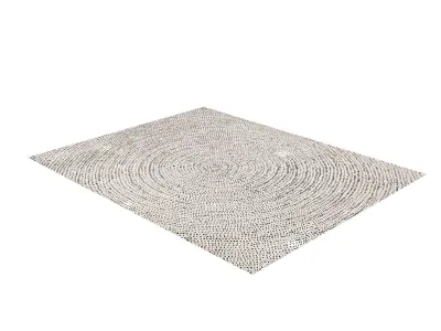 8x10 Ripple Effect Rug Free 3D model