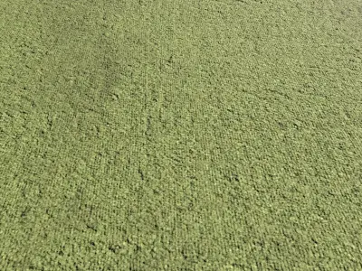 Green Carpet PBR Texture Texture