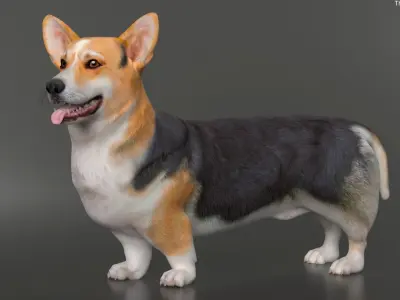  Small Dogs Rigged for Cinema 4D Collection 2 