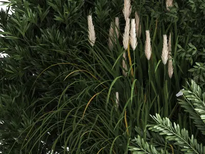 Bush05 shrubs and grasses - shrubs and grasses 3D model