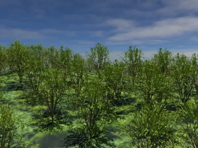 Forest Mountain Low-poly 3D model