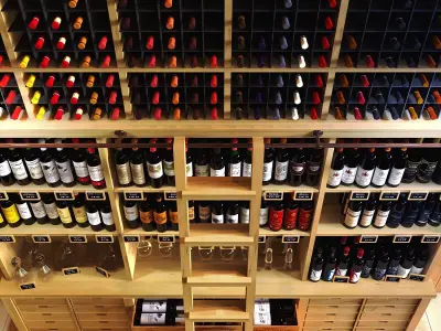 Chez le caviste 01 3D model