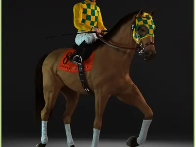  Racehorse and Jockey 