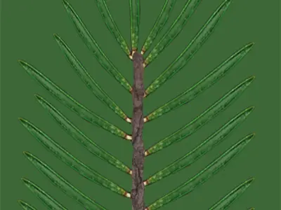 RoundAbout Road-American Road Low-poly 3D model