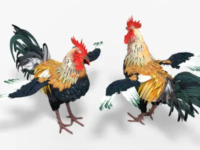  Rainbow Rooster Rigged For Blender 