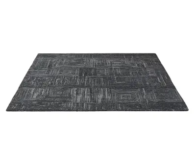 TESSARA HAND-KNOTTED WOOL RUG B 3D model