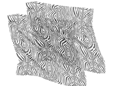 Black and White Zebra Printed Mesh Fabric PBR Texture ZFAB File 3D model