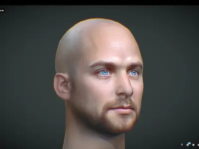 Male head Realistic Perfect Head Low-poly  Low-poly 3D model