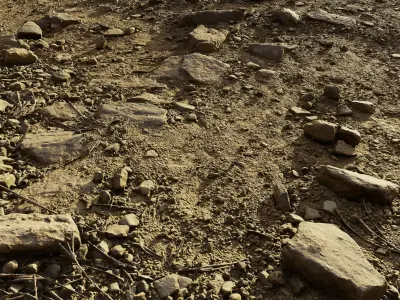 rockpathscan06102024 3D model