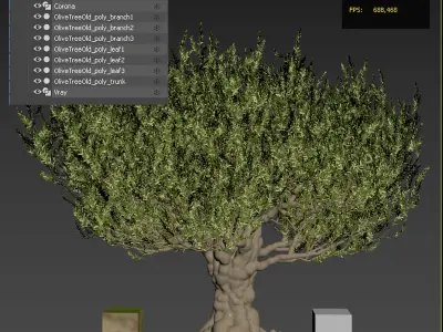 Old olive tree 2 3D model