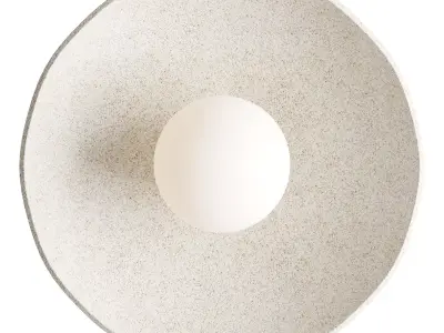 Organic Ceramic Sconce 3D model