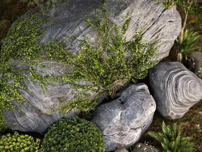Rocks  Plants Combination 3D model