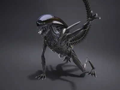 Alien Xenomorph High Detail 3D model