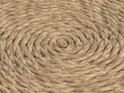 Toska Round Rug d150cm RendezVousDeco 3D model