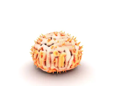 Vibrant Tubastraea Coral Colony Low-poly 3D model