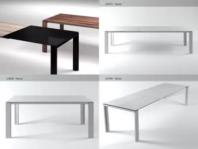 Malva dining table made of wood and metal 3D model