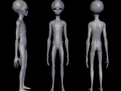 Realistic Alien 2 Sculpt 3D model