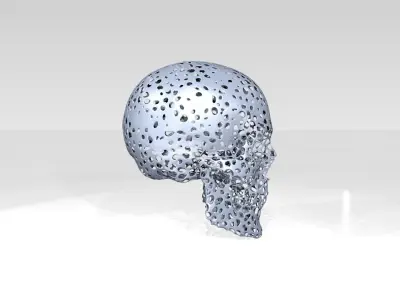 Skull Voronoi 3D model