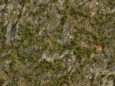 Mossy Rocky Surface Texture Texture
