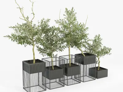 Kehlani Plant Stand Olea 3D model