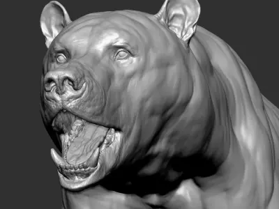  Bear 