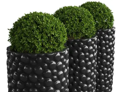 Plant in the pot IV 3D model