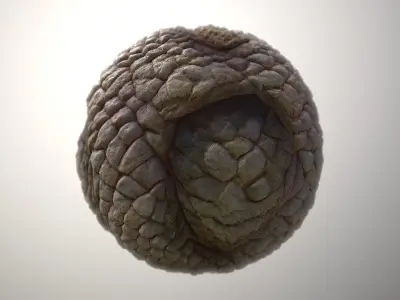 Material Skin Monster 49 Seamless PBR Texture Texture