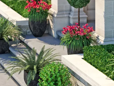 House Facade 9 3D model