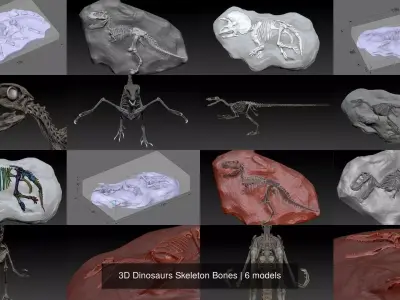 3D Dinosaurs Skeleton Bones 3D Model Pack